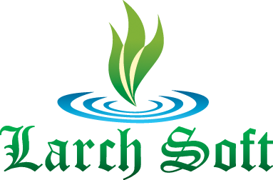 Larch Soft IT Consulting